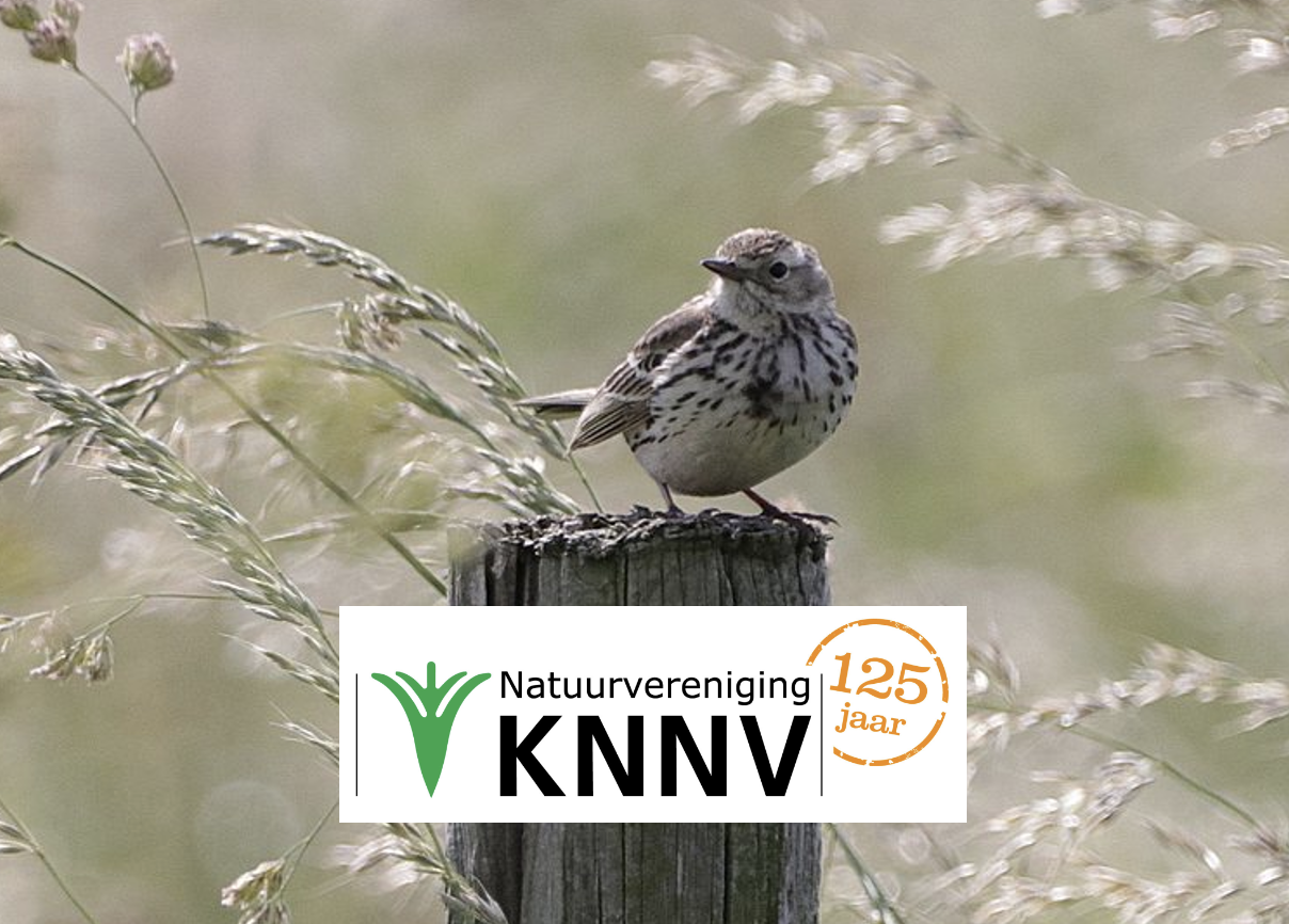 Word lid, wees welkom